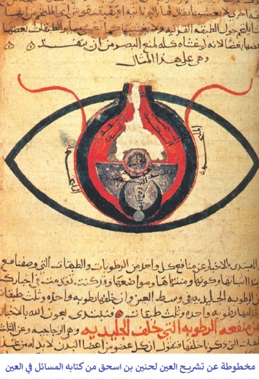 مخطوطة عن تشريح العين لحنين بن اسحق من كتابه المسائل في العين